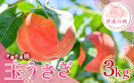 福島の桃 玉うさぎ ３kg（7～12玉） 伊達市産桃 先行予約 フルーツ 果物 もも モモ momo F20C-835
