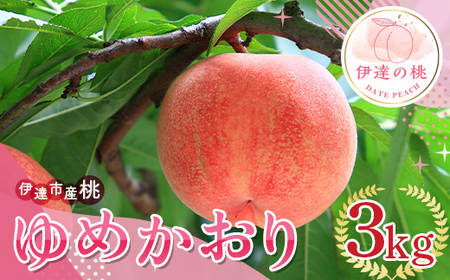福島の桃 ゆめかおり３kg（7～12玉） 伊達市産桃 先行予約 フルーツ 果物 もも モモ momo F20C-839