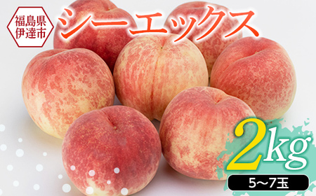福島の桃 福島県産 桃 シーエックス2kg（5～7玉） 先行予約 フルーツ 果物 もも モモ momo F20C-151
