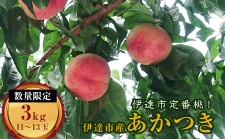 福島の桃 伊達市産 桃 あかつき 約3kg（11～13玉）先行予約 透過式光センサー選別 フルーツ 果物 もも モモ momo F20C-159