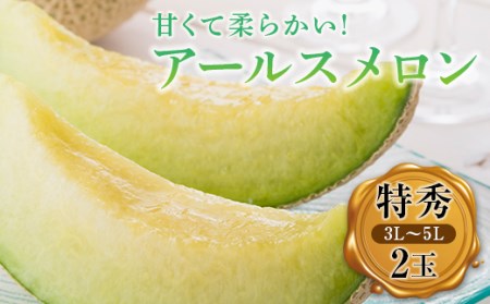 ＜先行予約＞伊達市産 メロン アールスメロン 特秀 (3L～5L) 2玉 福島 マスクメロン 果物 フルーツ F20C-337