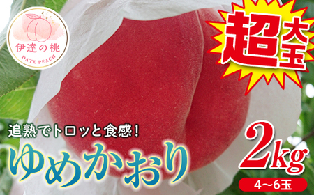 福島の桃 【極大玉】ゆめかおり2kg（4～6玉） 先行予約 フルーツ 果物 もも モモ momo F20C-372