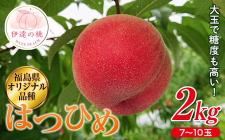 福島の桃 はつひめ2kg（7～10玉） 【斎藤果樹園】 先行予約 フルーツ 果物 もも モモ momo F20C-371