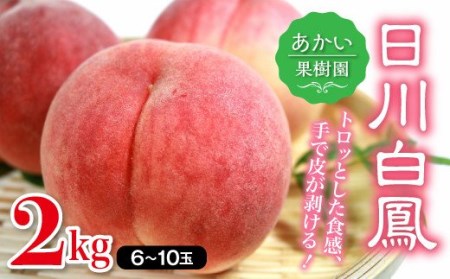 福島の桃 日川白鳳 2kg（6～10玉） 【あかい果樹園】 先行予約 フルーツ 果物 もも モモ momo F20C-447