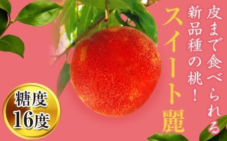 福島の桃 スイート麗 1.5kg（6～9玉） 先行予約 フルーツ 果物 福島県産 伊達市産 伊達の桃 20C-149