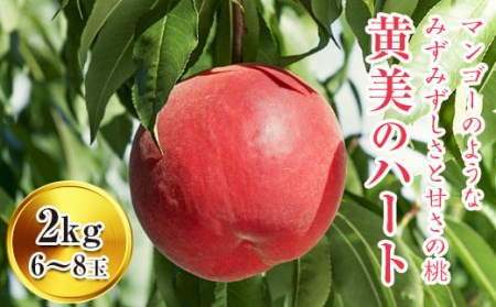 福島の桃 福島県産 桃 黄美のハート 2kg（6～8玉） 先行予約 フルーツ 果物 もも モモ momo F20C-150
