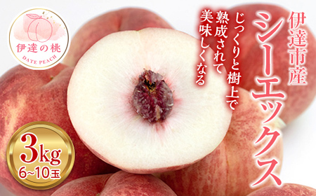 福島の桃 シーエックス 3kg （6～10玉） 【あかい果樹園】 先行予約 フルーツ 果物 もも モモ momo F20C-444