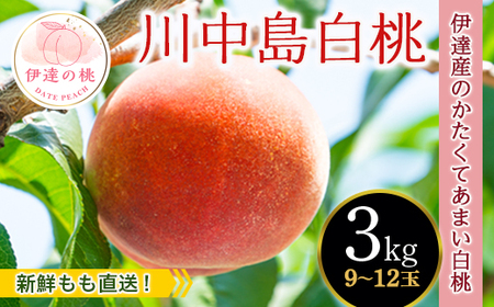福島の桃 【新鮮もも直送】桃 川中島白桃 3kg（9～12玉） 先行予約 フルーツ 果物 もも モモ momo F20C-606