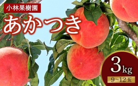 福島の桃 あかつき ３kg（9～12玉）  【小林果樹園】 先行予約 フルーツ 果物 もも モモ momo F20C-590
