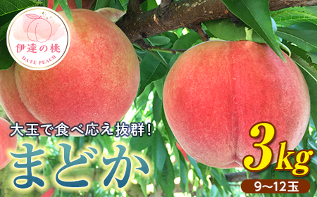 福島の桃 まどか 3kg（9～12玉） 【枝並農園】 先行予約 フルーツ 果物 もも モモ momo F20C-370