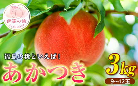 福島の桃 あかつき 3kg（9～12玉） 【枝並農園】 先行予約 フルーツ 果物 もも モモ momo F20C-637