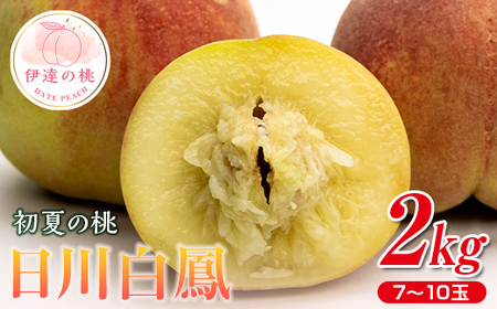 福島の桃 初夏の桃 日川白鳳 ２kg（7～10玉） 先行予約 フルーツ 果物 もも モモ momo F20C-634