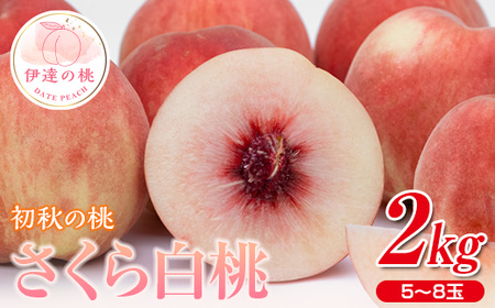 【先行予約】 福島の桃 初秋の桃　さくら白桃２kg（5～8玉） F20C-636