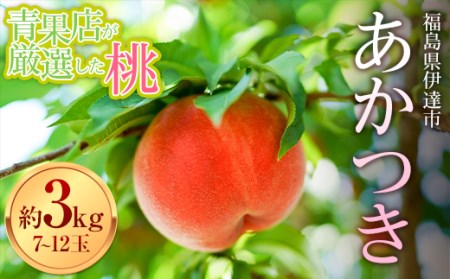 福島の桃 青果店が厳選した桃 あかつき約3kg（7～12玉） F20C-667