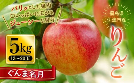 秋の味覚 りんご ぐんま名月 5kg（13～20玉） 福島県 伊達市 林檎 リンゴ フルーツ 果物 産地直送 蜜 黄色 F20C-650