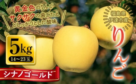 秋の味覚 りんご シナノゴールド 5kg（14～23玉） 福島県 伊達市 林檎 リンゴ フルーツ 果物 産地直送 黄色 果汁 F20C-651