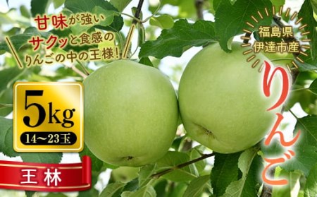 秋の味覚 りんご 王林 （おうりん） 5kg（14～23玉） 福島県 伊達市 林檎 リンゴ フルーツ 果物 産地直送 甘い F20C-653