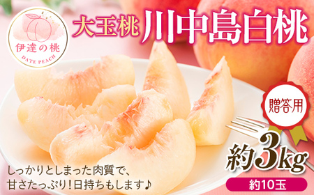 福島の桃 川中島 3kg（約10玉） 先行予約 フルーツ 果物 伊達市産もも  もも モモ momo F20C-521