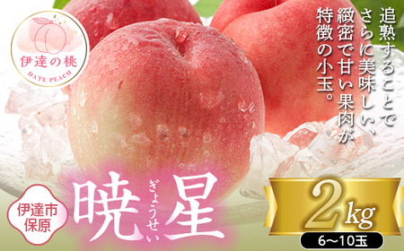 福島の桃 暁星 2kg（6～10玉） 【あかい果樹園】 先行予約 フルーツ 果物 もも モモ momo F20C-502