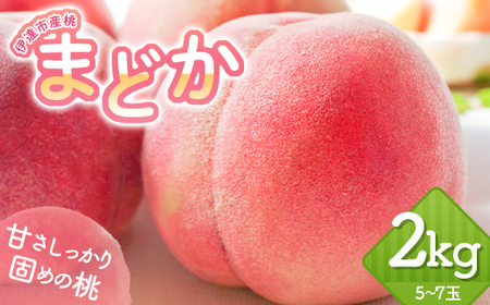 福島の桃 伊達市産桃 まどか 2kg（5～7玉） 先行予約 フルーツ 果物 もも モモ momo F20C-644