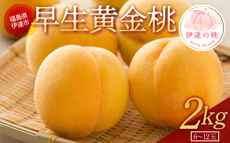 福島の桃 早生黄金桃 2kg（6～12玉） 【あかい果樹園】 先行予約 フルーツ 果物 もも モモ momo F20C-690