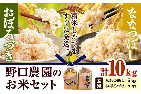 [1.2-236]　野口農園玄米お米セット10kg「ななつぼし・おぼろづき」