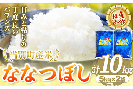 [1.3-51]　当別産米ななつぼし10kg（瀬戸商店）