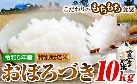 [1.25-63]　ファームふたば特別栽培米「おぼろづき」10kg 北海道 当別町