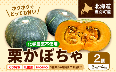 [B0.6-205]　北海道当別町産化学農薬不使用かぼちゃ:お任せ2個セット