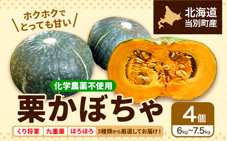 [B1.2-206]　北海道当別町産化学農薬不使用かぼちゃ:お任せ4個セット