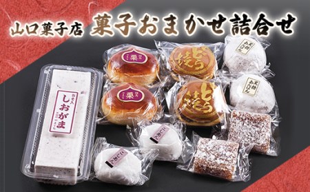 山口菓子店 菓子詰め合わせ F21T-026
