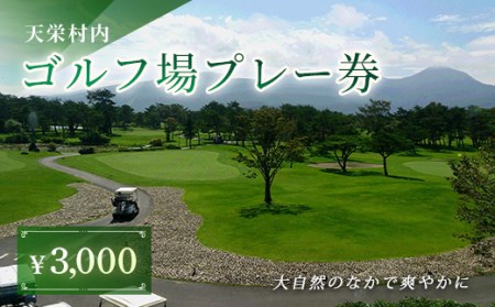 天栄村内ゴルフ場プレー券（3,000円分） F21T-032