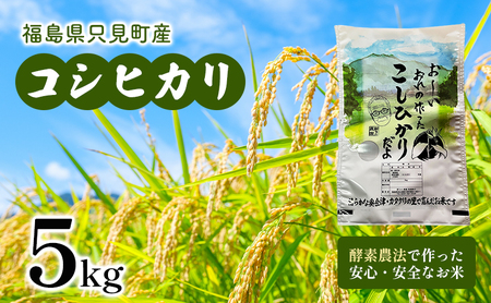 【新ちゃん農園】只見町産 コシヒカリ 精米 5kg エムリン米