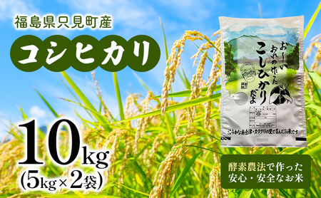 【新ちゃん農園】只見町産 コシヒカリ 精米 10kg（5kg×2袋） エムリン米