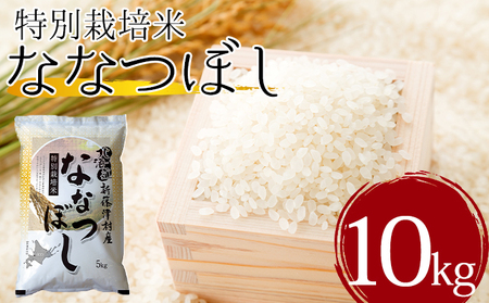 北海道新篠津村産　特別栽培米ななつぼし10kg