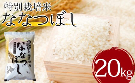 北海道新篠津村産　特別栽培米ななつぼし20kg