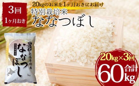 特別栽培米ななつぼし計60kg 20kg×1ヶ月おきに3回発送