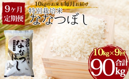 特別栽培米ななつぼし10kg×9ヶ月連続お届け