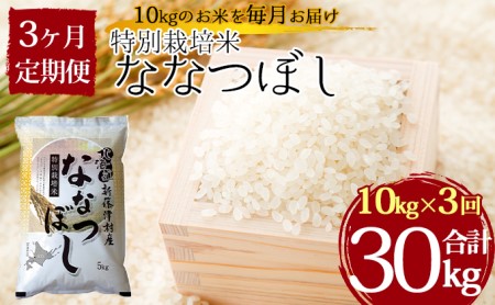 特別栽培米ななつぼし10kg×3ヶ月連続お届け