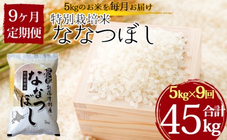 特別栽培米ななつぼし5kg×9ヶ月連続お届け