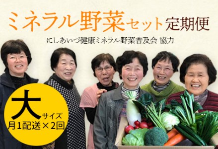 西会津ミネラル野菜セット定期便（大）2回 F4D-0122