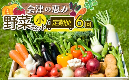 3市町村共通返礼品「会津の恵み野菜セット」（小）定期便 6回 F4D-0502