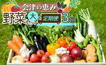 3市町村共通返礼品「会津の恵み野菜セット」（大）定期便 3回 F4D-0504