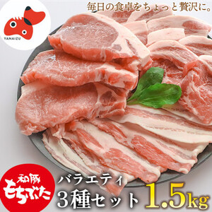 【ブランド豚】柔らかジューシーな肉質!「和豚もちぶた」3種セット1.5kg【配送不可地域：離島】【1476933】