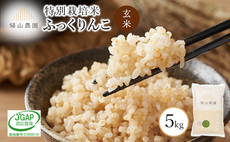 玄米 ふっくりんこ 5kg　特別栽培米産地直送《帰山農園》