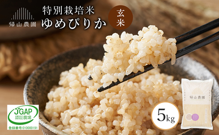 玄米 ゆめぴりか 5kg　特別栽培米産地直送《帰山農園》
