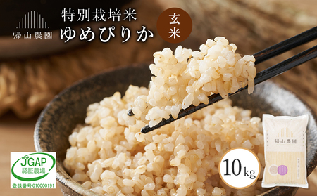 玄米 ゆめぴりか 10kg　特別栽培米産地直送《帰山農園》