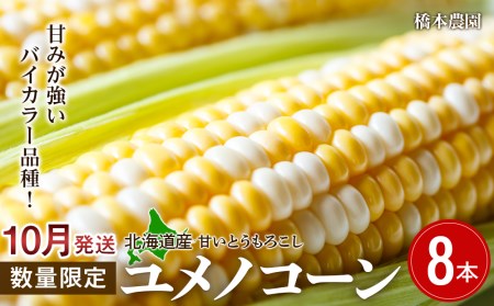 【１０月発送】北海道産 甘い とうもろこし ユメノコーン 8本【橋本農園】