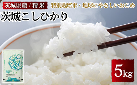 茨城県産特別栽培米　地球にやさしいおこめ 茨城こしひかり 5kg ※離島への配送不可
