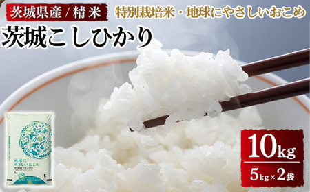 茨城県産特別栽培米　地球にやさしいおこめ 茨城こしひかり 10kg ※離島への配送不可